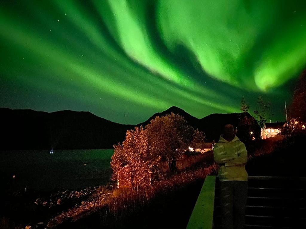 Ferrytale, Cozy, Spacious House On Senja Gryllefjord Exterior foto