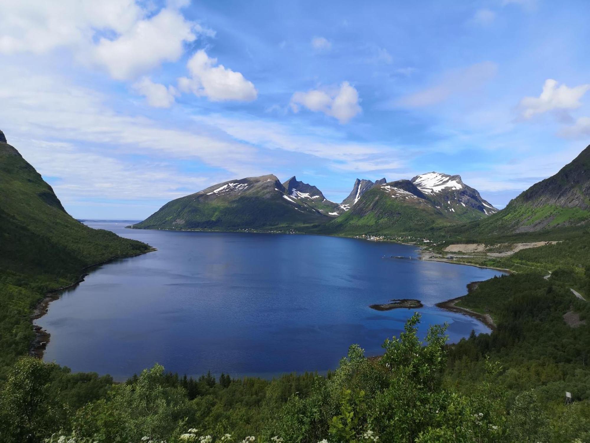 Ferrytale, Cozy, Spacious House On Senja Gryllefjord Exterior foto